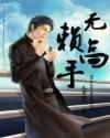 无赖成高手封面