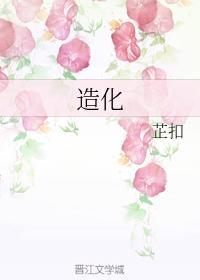 造化封面