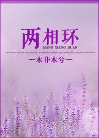 心锁——两相环封面