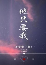 他只要我封面