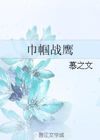 巾帼战鹰封面