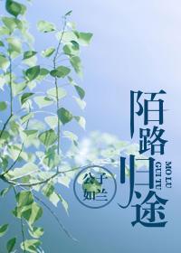 陌路归途封面