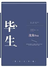 毕生封面