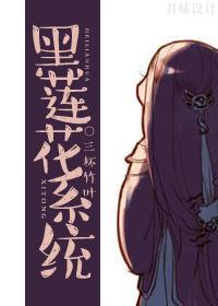 黑莲花系统封面