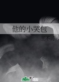 他的小哭包封面