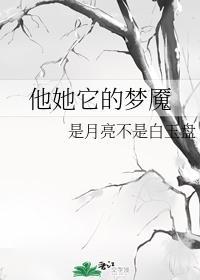 他她它的梦魇封面