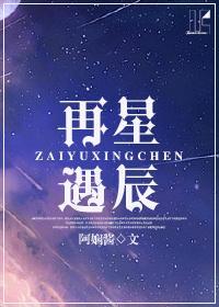 再遇星辰封面
