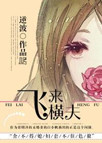 飞来横夫封面