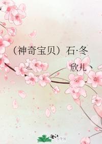 （神奇宝贝）石·冬封面