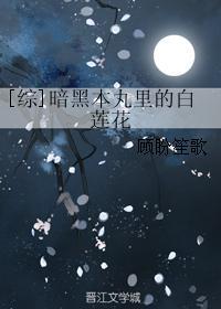 [综]暗黑本丸裏的白莲花封面