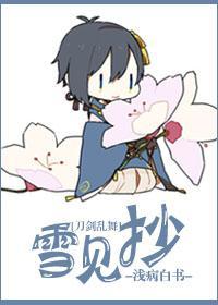 [刀剑乱舞]雪见抄封面