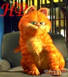 HP之加菲猫封面
