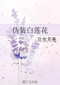 伪装白莲花封面