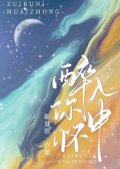 醉入你怀中封面
