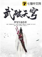 武破天穹封面