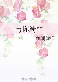 与你绮丽封面