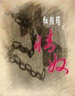 红颜殇之情奴封面