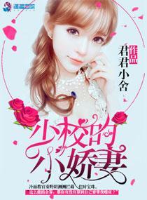 玩转军营：小妻太撩人封面