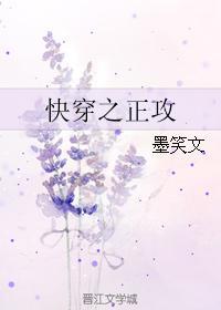 快穿之正攻封面