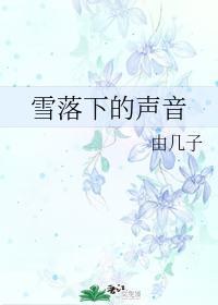 雪落下的声音封面