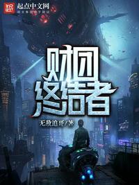 财团终结者封面