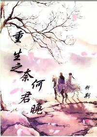 重生之奈何君晚封面