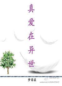 真爱在异世封面