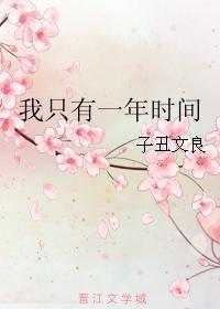 我只有一年时间封面