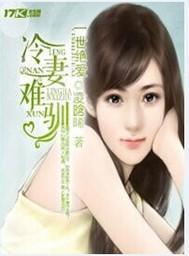 一世绝爱之冷妻难驯封面