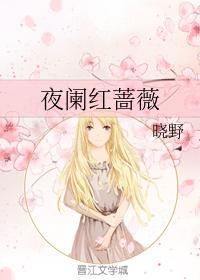 夜阑红蔷薇封面