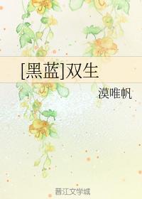 [黑蓝]双生封面