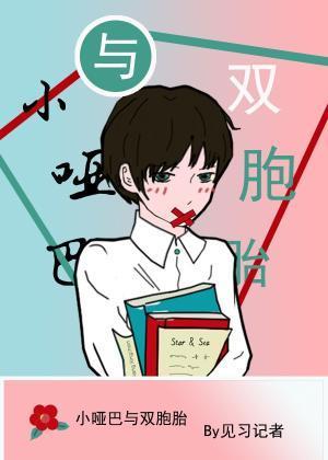 小哑巴与双胞胎封面
