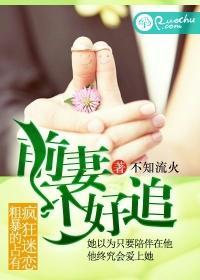 前妻不好追封面