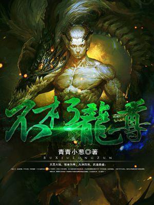 不朽龙尊封面