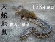 天蛇地鼠封面