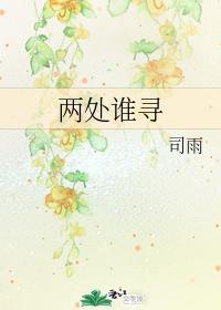 两处谁寻封面