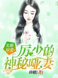 厉沈溪舒窈封面