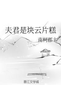 夫君是块云片糕封面