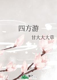 四方游封面