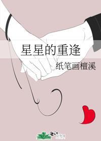 星星的重逢封面