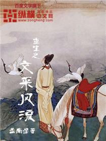 重生之文采风流封面