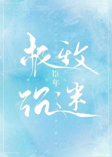 极致沈迷封面