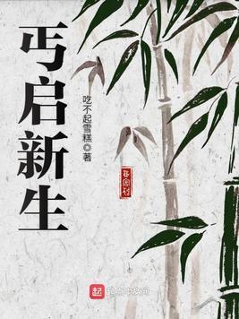 丐启新生封面