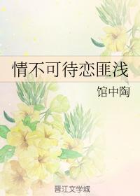 情不可待恋匪浅封面