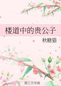 楼道中的贵公子封面