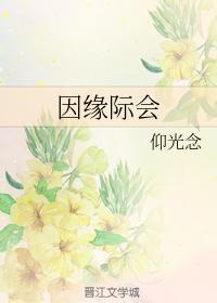 因缘际会封面