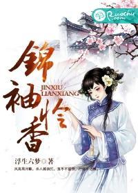 锦袖怜香封面