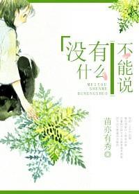 没有什么不能说封面