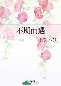 不期而遇封面