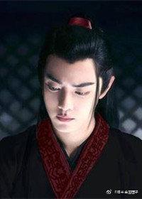 陈情令之同归(双鬼道)封面